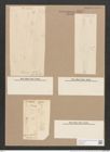 Pleurosigma nubecula W.Sm. (de-Toni-Nr.: Genus 13, Species 1006) Zeichnungen Sammlung Grunow Nr. 2047 (NHMW-BOT-W0368903)